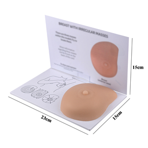 Simulator Female Inspection and <strong>Palpation</strong> Breast Self Examination Model Class Demonstration - Product Image 2