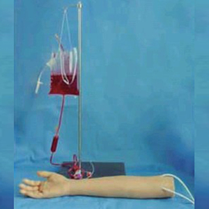 BIX-FS5 Anatomical Arm Vein Puncture Model <strong>Human</strong> Body Simulation for Medical Training for Medical Schools and Medical Science - Product Image 2