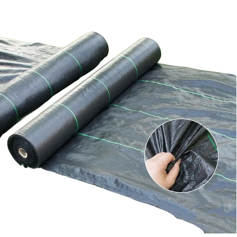 Plastic Fabric Agricultural Black Pp Woven Membrane Mesh Stop Grass Growing Weed Barrier Roll Control Fabric Weed Mat
