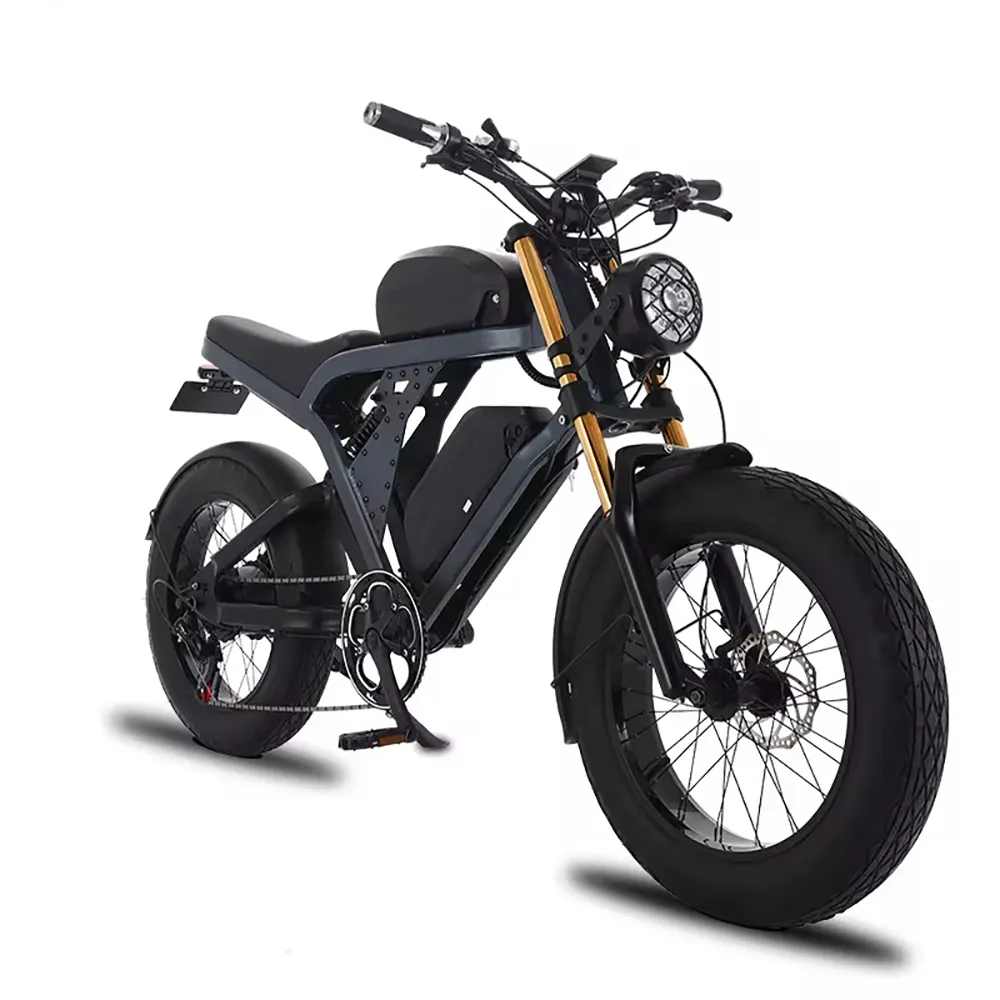 2024 성인 48V 36AH 1500W Ebike 지방 타이어 오프로드 스포츠 전기 자전거 전자 자전거 20 인치 자전거 해변 크루즈 모든 지형 ebike