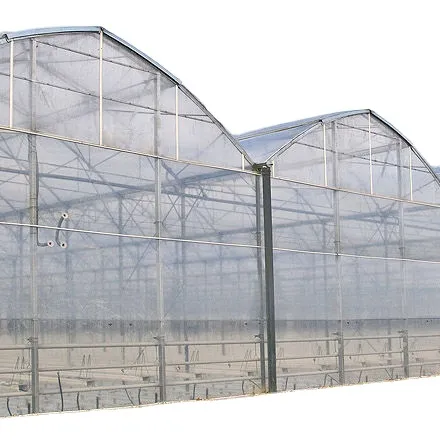 Struttura di un una Vendita Calda Solare Serra Agricola Pellicola di Plastica Multi-span Serra