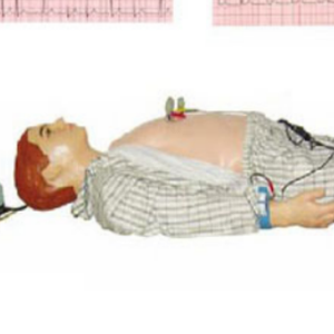 Simulador de auscultación y palpación abdominal automático ADA Medical (versión independiente) y varios simuladores de ordenador ECG - Product Image 3