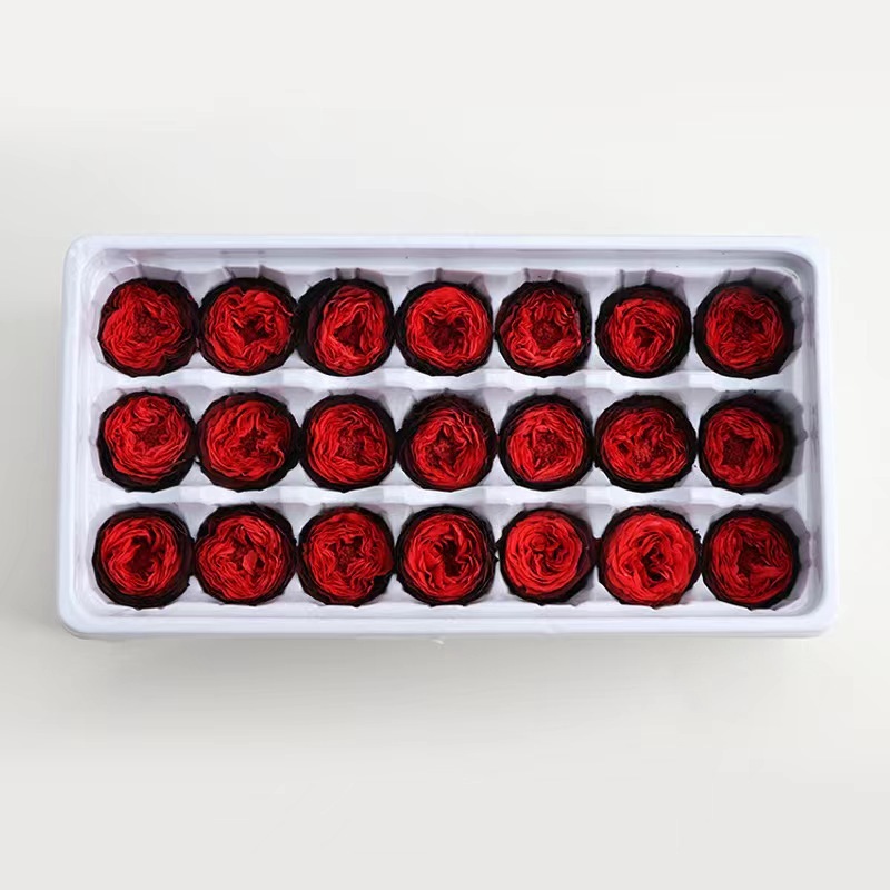A12