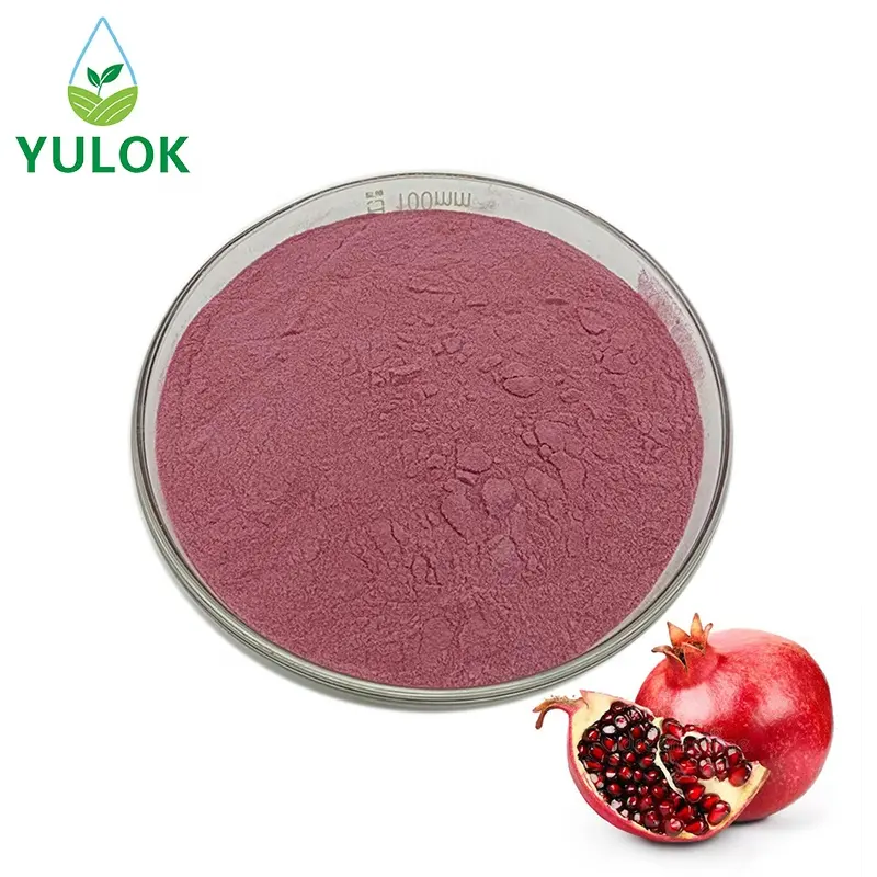 High Quality Bulk Pomegranate Fruit Powder Free Sample Pomegranate Extract for Sale