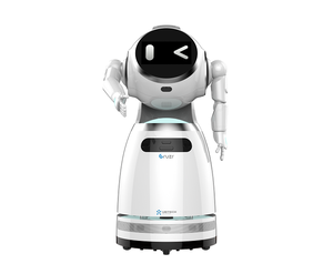 ราคาถูกโรงงานราคาให้คำปรึกษาแผนกต้อนรับธุรกิจยินดีต้อนรับ AI บริการหุ่นยนต์สำหรับการค้าปลีก - Product Image 1