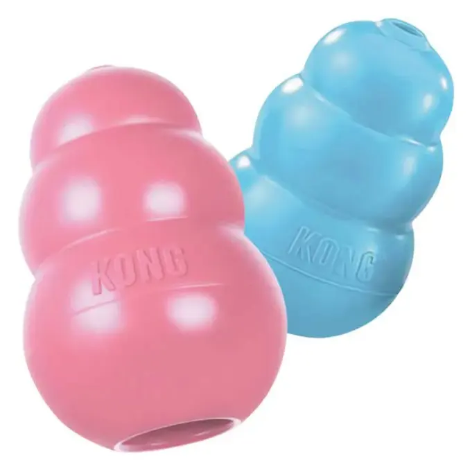 KONG - Puppy Toy Natural Dentição Borracha-Diversão para mastigar, Chase e Fetch-Rosa/Azul