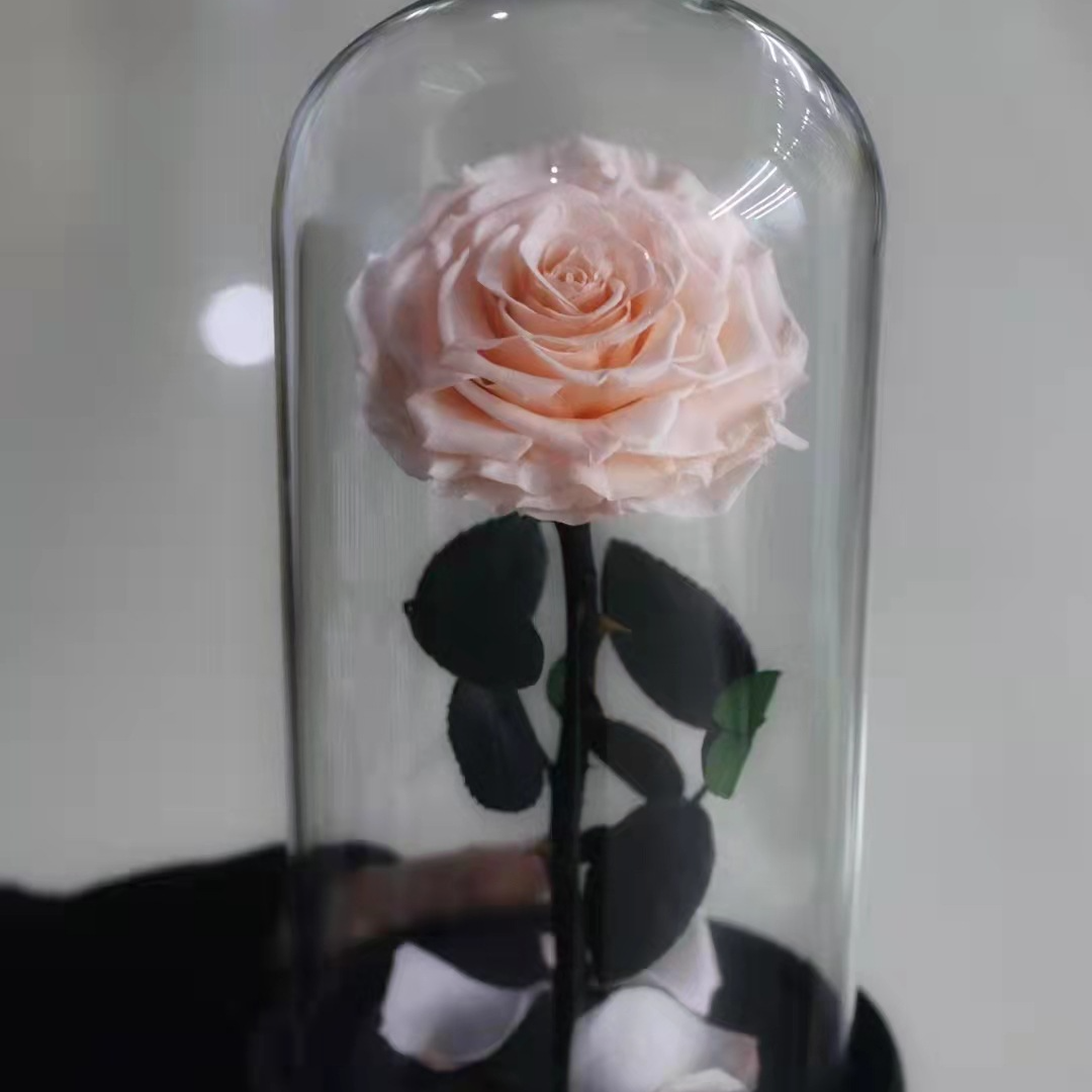 Pink Peach Color (without Light and Gift Box)