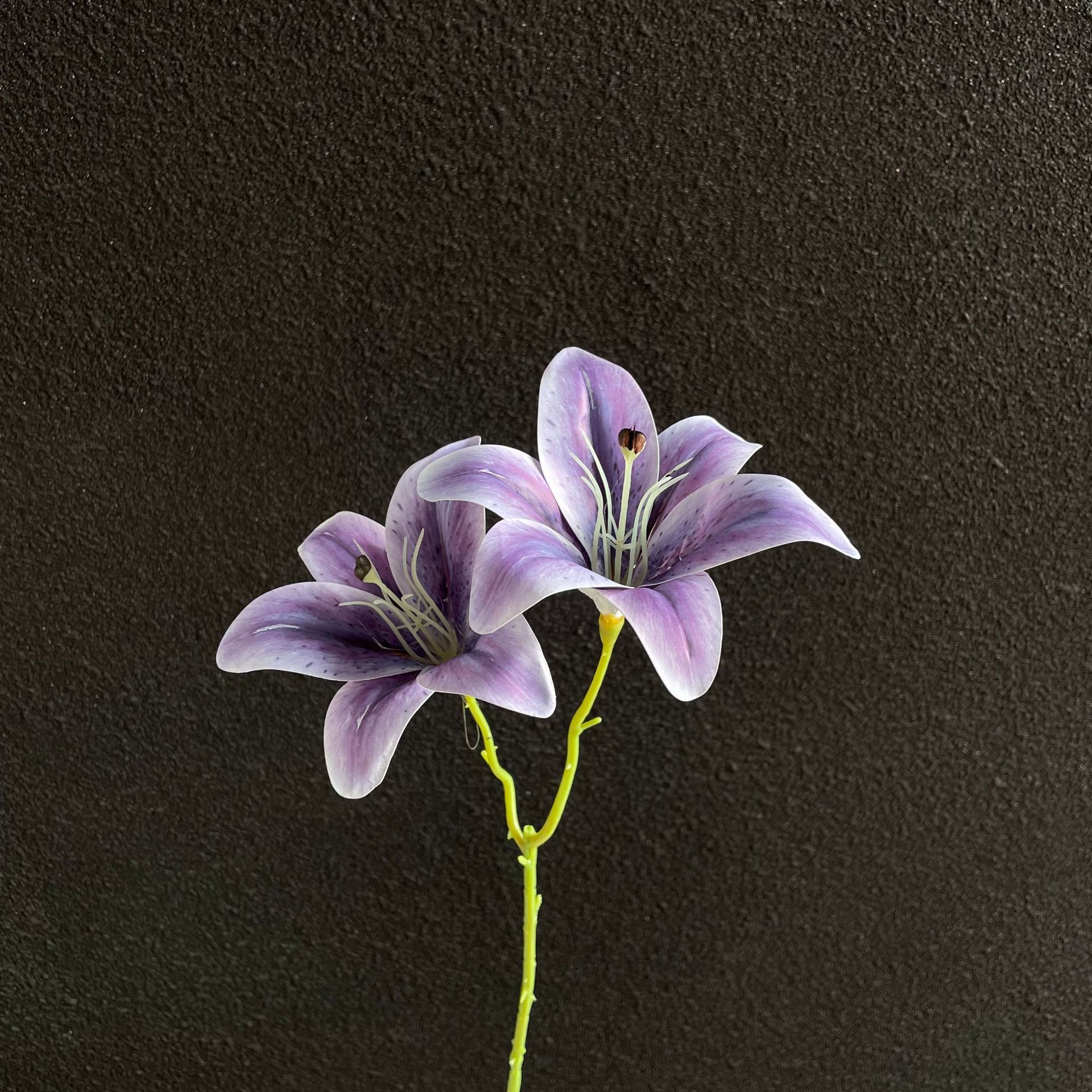 Sayuri morado de dos cabezas