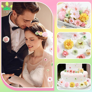 60 Pcs Artificial <strong>Flowers</strong> Heads Bulk Pink Green Mini Silk <strong>Flower</strong> for Crafts Small Daisy Roses Graduation Cap DIY Cake Wedding
