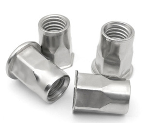 Altıgen somun perçin/yarım hex kör perçin somun somun perçin paslanmaz çelik Rivnut metrik SS304 dişli ekler nutsert - Product Image 5