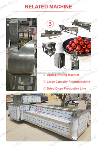 Rosso Date Deseeding di Apertura Macchina Data di Semi di Rimozione Della Macchina di Oliva Pitting Macchina - Product Image 2