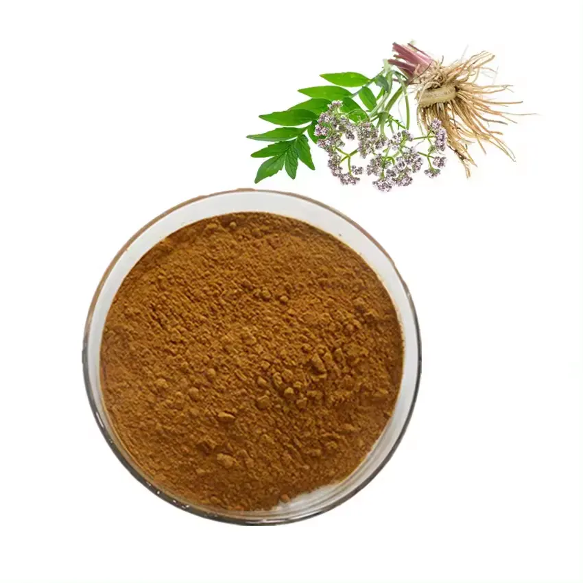 Extrato de raiz de Valeriana officinalis natural puro 0,8% de ácido valérico