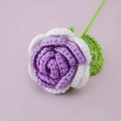 Dégradé violet