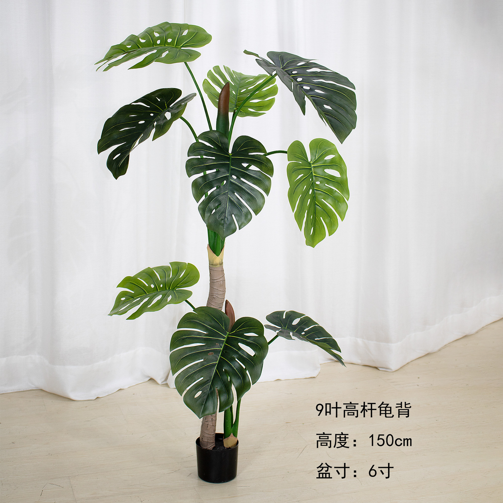 150cm double pole