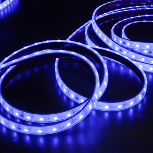 Программируемые полосы света DC24V 5050RGBW 60LED IP67 водонепроницаемые полосы света - Product Image 2