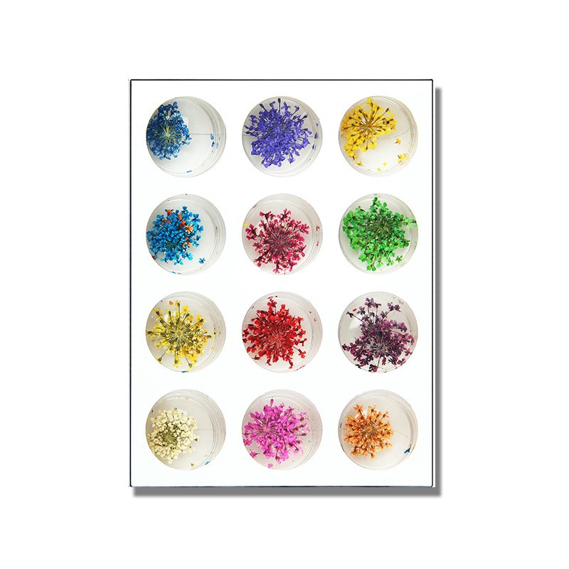 1 boîte de fleurs séchées