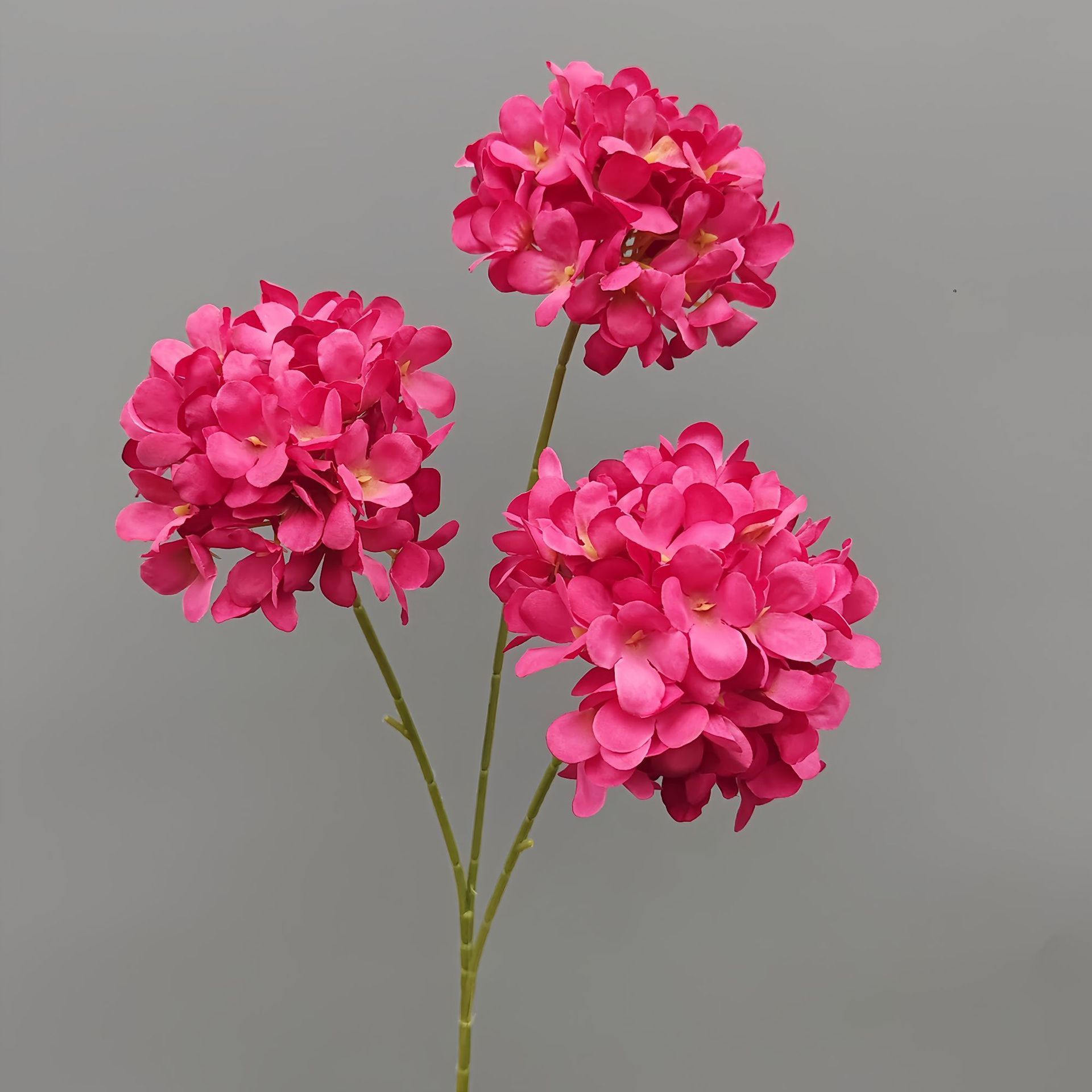 3 hortensia-rose-71cm