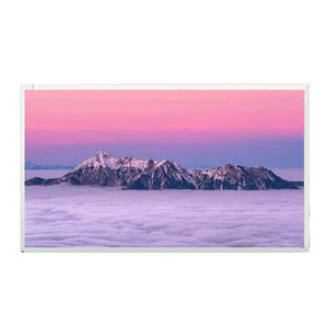 Araba navigasyon endüstriyel kontrol cihazları için 21.5 inç HD TFT LCD Panel modülü P215HVN01.2 LCD arka işık 1366x768 çözünürlük VA - Product Image 2