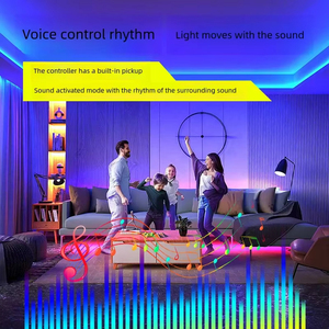 5m akıllı RGB LED şerit işık USB bakır IP20 Home RoHS sertifikalı esnek aydınlatma çözümleri ev dekor için ses kontrolü - Product Image 6