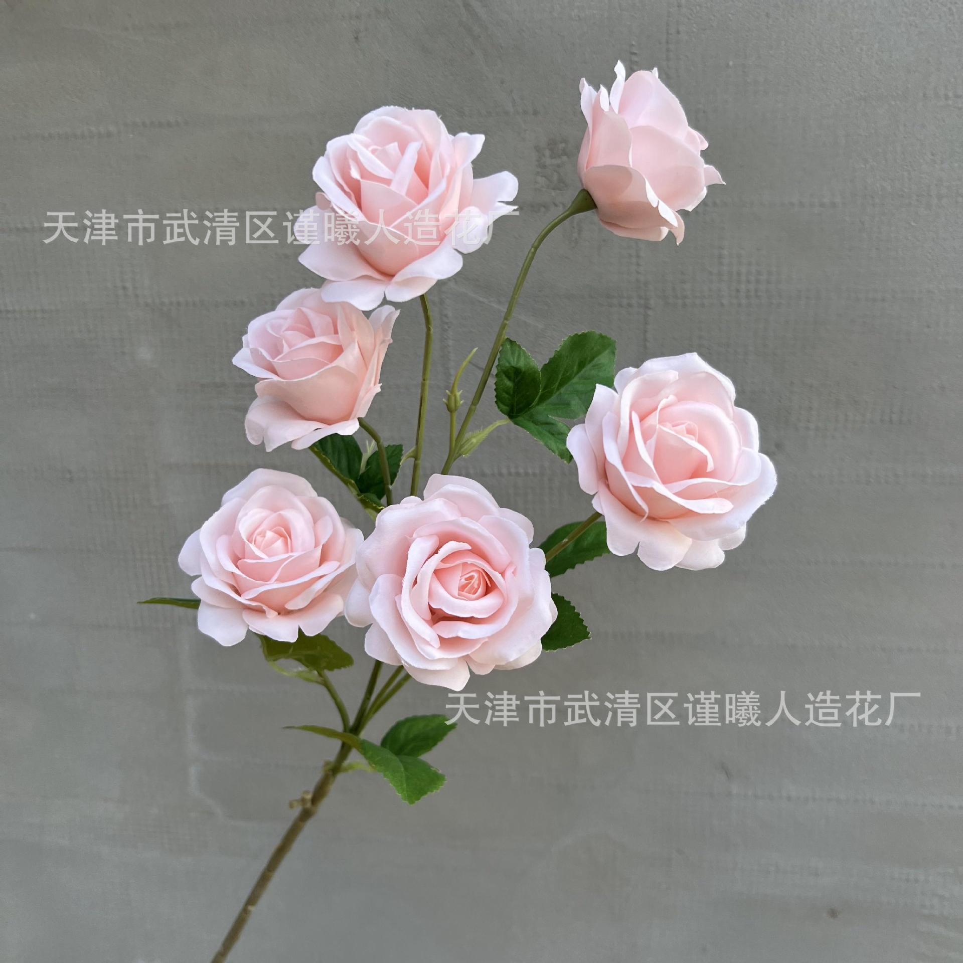 6-headed pink roses
