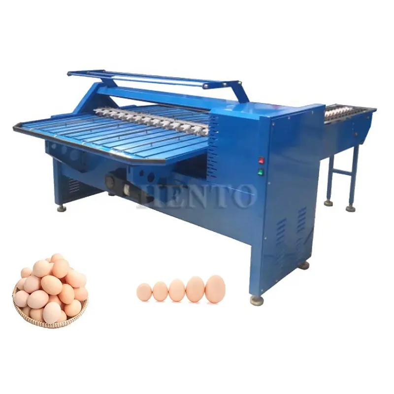 Máquina automática de clasificación de huevos