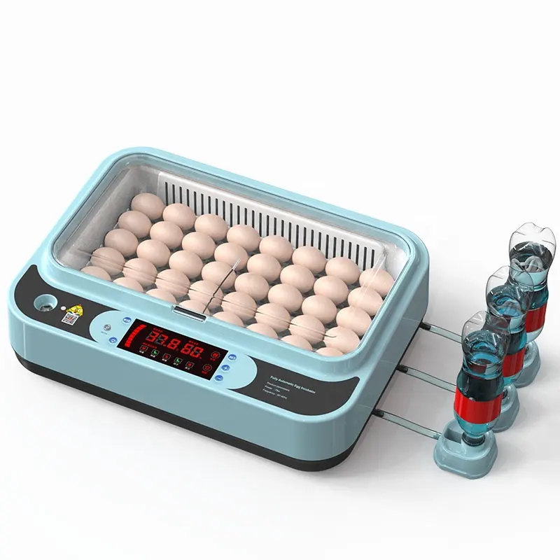 JIATAI fábrica venda direta novo design mini incubadora de ovos 36 ovos de galinha incubadora para venda