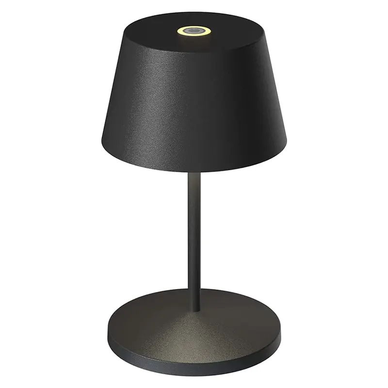 Moderna lampada Mood con cambio colore soggiorno camera da letto comodino decorativo elegante a forma di uovo casa Cordless lampada da tavolo