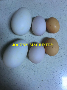 Codier maschine für Eier sortierung im kleinen Maßstab/Eier sortierer drucker/Eier gewichts auswahl maschine für die Sortierung von Eiern - Product Image 6