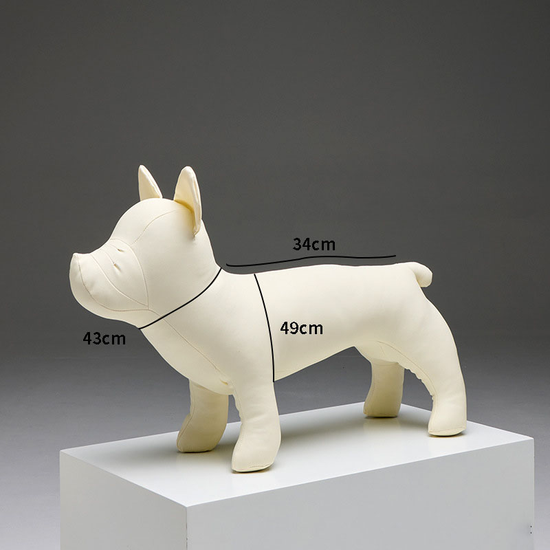 Bull Terrier DN blanc