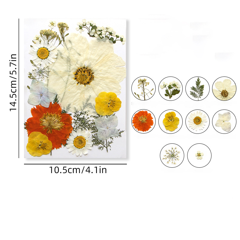 7 (16-23pcs)