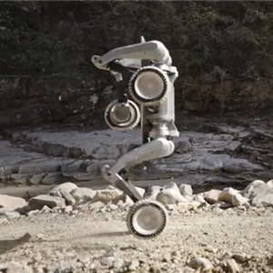 2025 Robot intelligente per cani Vierbeiner up Hund Visuelle Funktionen Durch telecomando intelligente AI robot cane Robot go2 cane