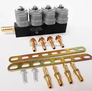 Cng lpg Gas Fuel Injector Rail System Kit Conversion Gnv Motorcycle for Other <strong>Parts</strong> Spare PETORL ENGINE for Dual Fuels - Product Image 5