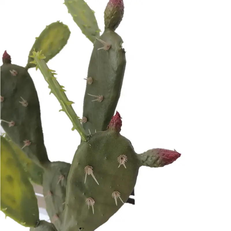 Vendita calda falso decorazione dell'interno artificiale succulente in vaso piante di cactus