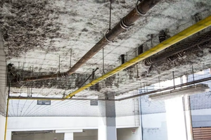 पक्षी जाल जाल-पर्यावरण के अनुकूल प्लास्टिक पक्षी नियंत्रण जाल के लिए पक्षी जाल-पर्यावरण अनुकूल प्लास्टिक पक्षी नियंत्रण जाल - Product Image 5