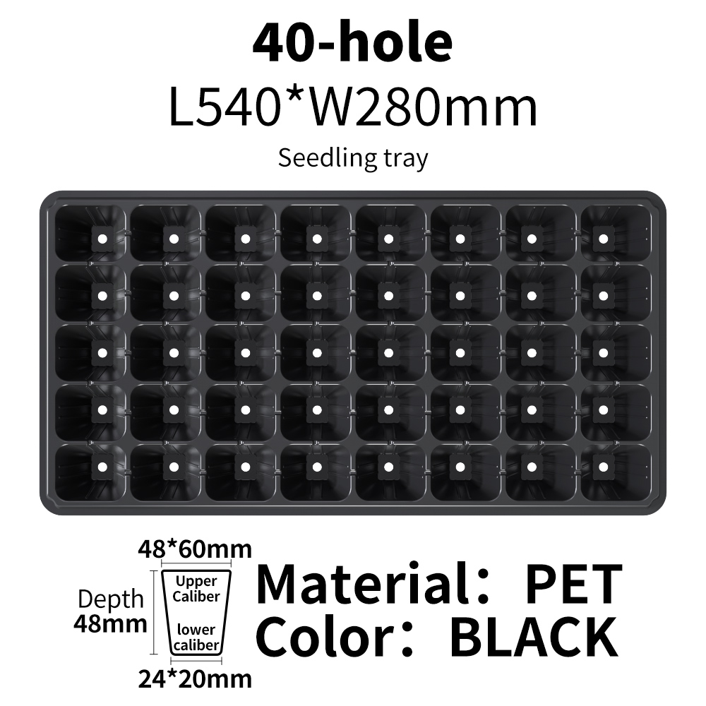 Noir 40 cellules