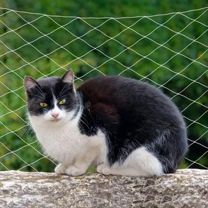 猫用保護ネットカスタム透明猫用セーフティネット猫用バルコニーネット - Product Image 5