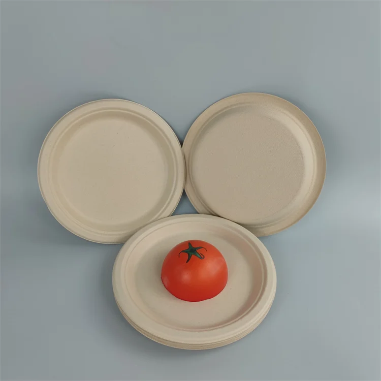 disposable bagasse plate