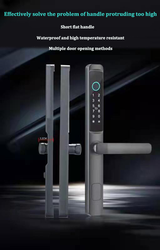 Doubwin Competitive Price S617 intelligent Waterproof Door Lock TTlock Smart Wifi Fingerprint Password Card Door Lock for Home