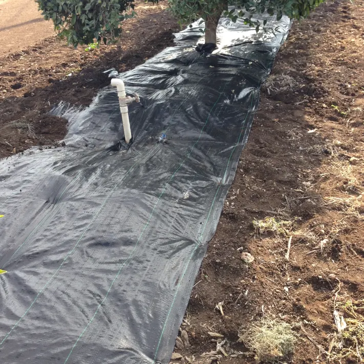 Agrotextile गीली घास कपड़ा पीपी कृषि और उद्यान के लिए भूमि को कवर खरपतवार चटाई