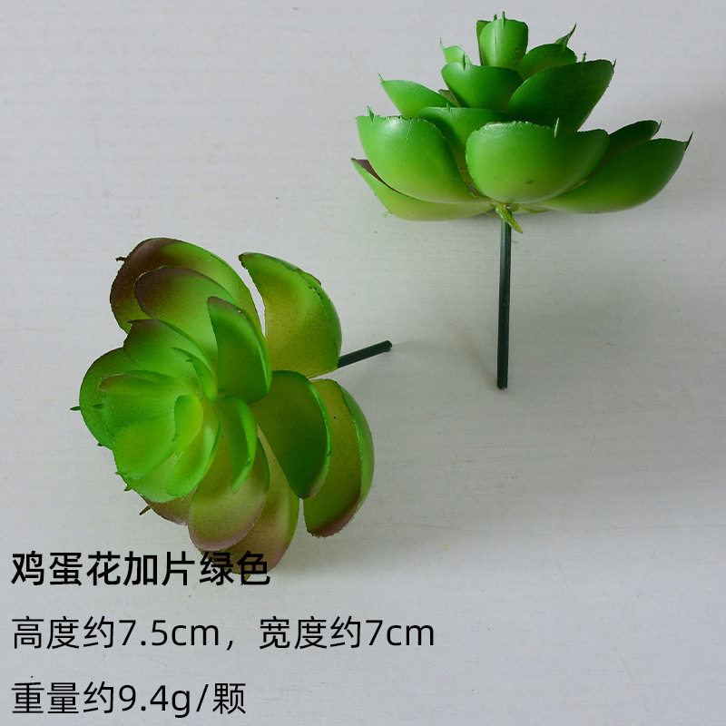 Frangipani con verde