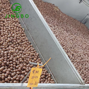 <strong>Macadamia</strong> <strong>Nuts</strong> Wholesale Roasted Cracked <strong>Macadamia</strong> <strong>Nuts</strong> &gt;25mm Size Nutritious Snack Direct Eating .