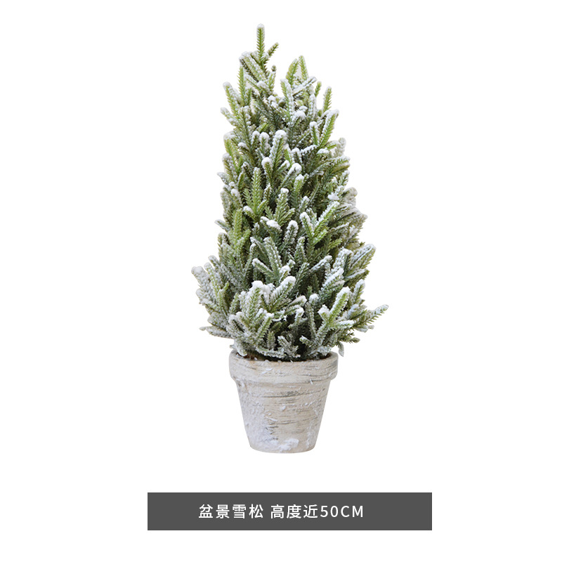 Bonsaï en cèdre section F grand