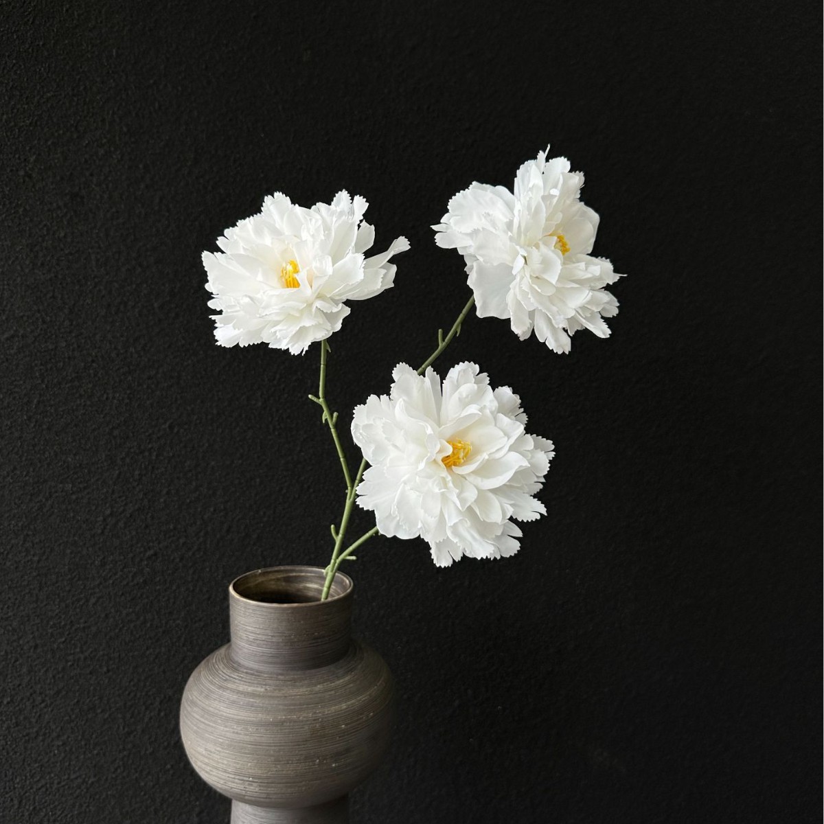 White 3-headed hibiscus peony