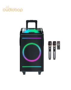 BK-26 10インチフラッシュファイアRGB LEDライトサウンドボックスホームシアターステージコンピュータ60W出力屋外パーティーの必需品 - Product Image 2