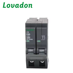 Serie LQOV MCB Disyuntor en miniatura de dos polos negro Tipo enchufable de 63 amperios para protección Li por MCB - Product Image 1