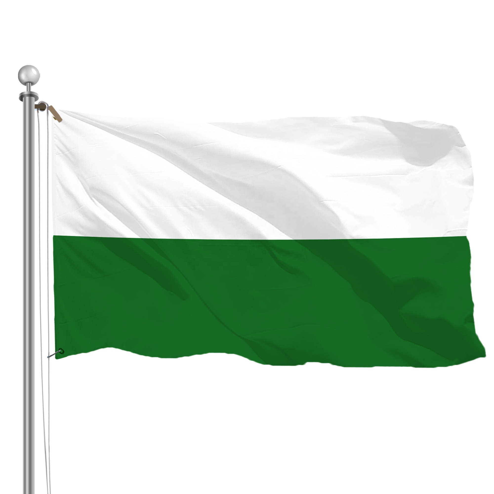 Bandera del Estado Libre de Sajonia