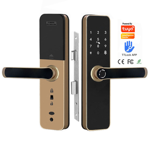 Porta di riconoscimento facciale 3D XSDTS con Smart Lock citofono Live - Product Image 4
