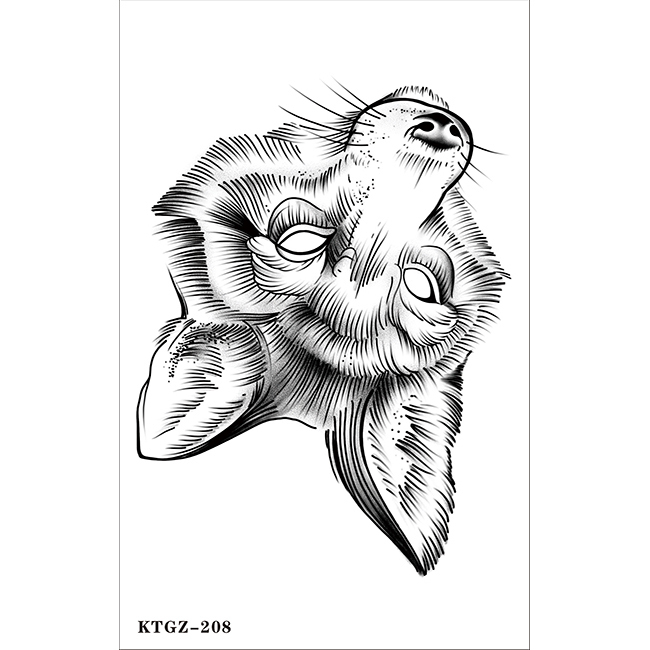 KT-208