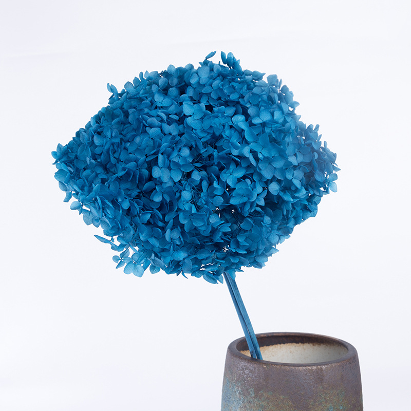 Bleu paon