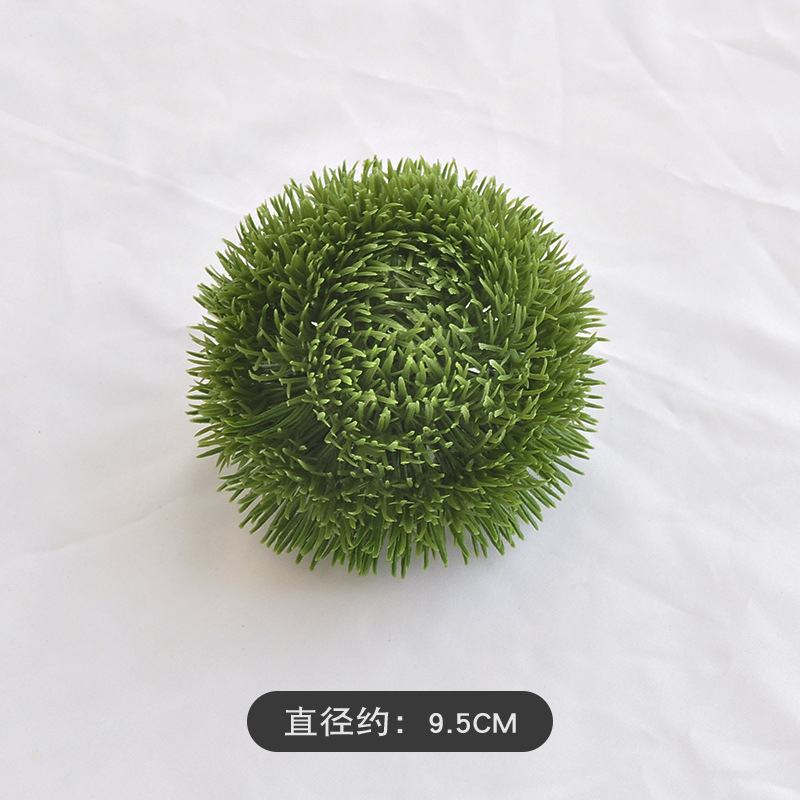Caryophyllum vert-vert foncé